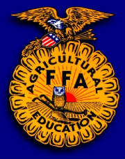 ffaemblem7.jpg